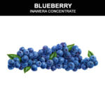 Blueberry
