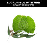 Eucalyptus & Mint