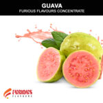 Guava