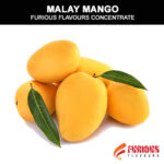 Malay Mango