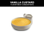 Vanilla Custard
